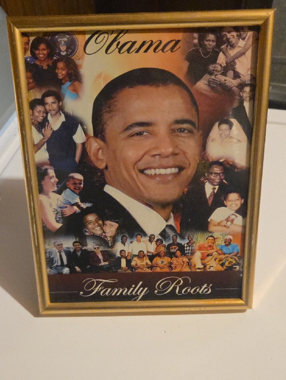 Obama 'Family Roots' Collage Poster - Gold Frame - Picture 4 of 4